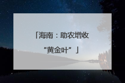 海南：助农增收 “黄金叶”